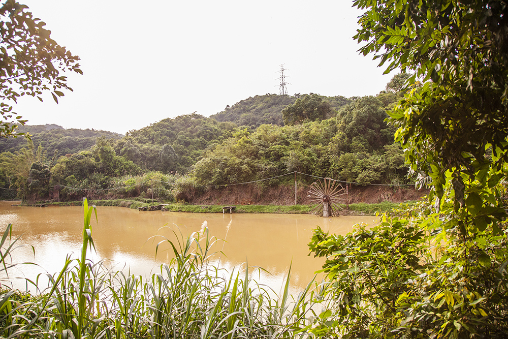 A view of the nature reserve surrounding Da Wang