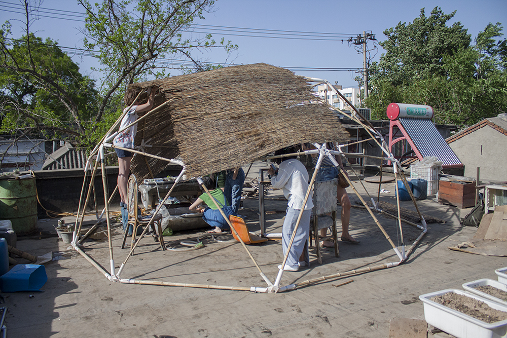 artists installing an aquaponics system on Homeshop's roof